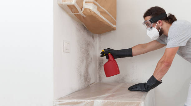 Professional Mold Remediation technician working in Chatham, IL